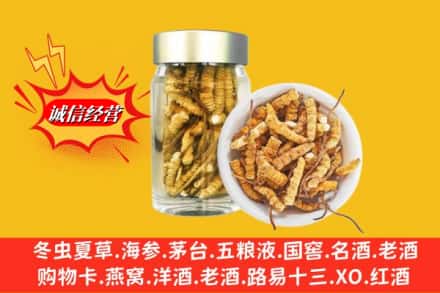 昭通市回收散虫草