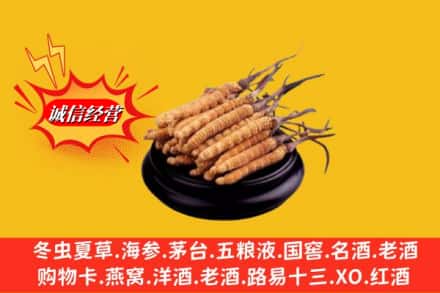 昭通市求购回收虫草多少钱每克